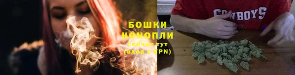 ECSTASY Лагань