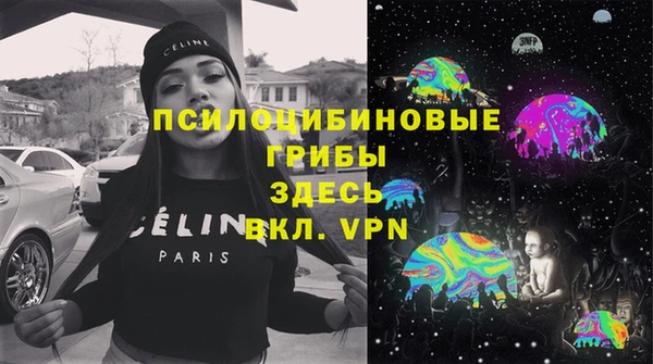 мдпв Лабытнанги