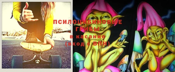 мдпв Лабытнанги