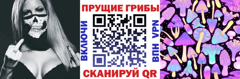 Галлюциногенные грибы GOLDEN TEACHER  Купить где  Кисловодск 